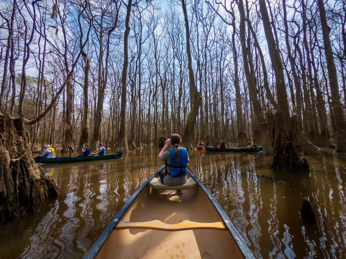 AlongfortheTrip's tweet photo. Paddling around Congaree National Park in South Carolina. Read more to plan a great day in the park. #FindYourPark #CongareeNP @CongareeNPS https://t.co/ilbFWOGFWW https://t.co/0CS7zvE5nW
