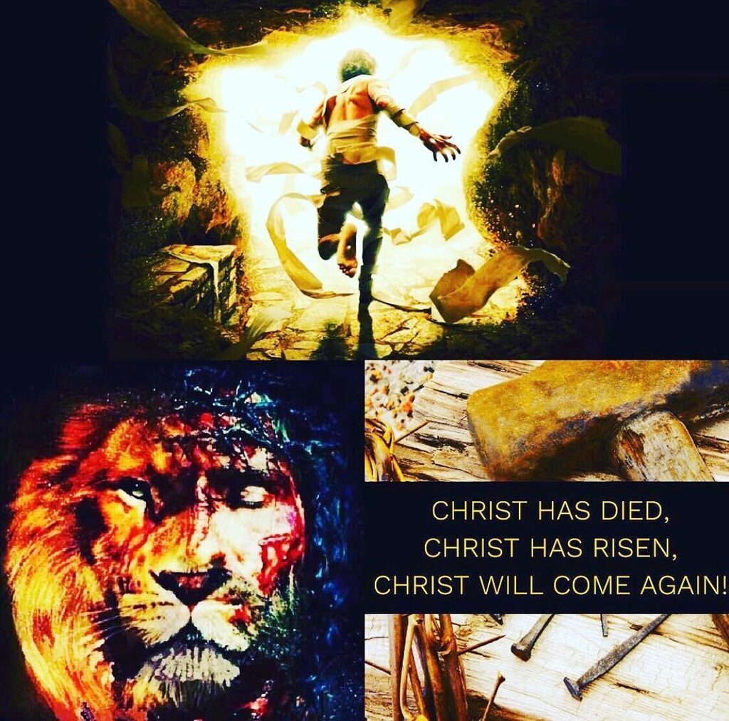 LeviathanRods's tweet photo. 20 But Christ has indeed been raised from the dead, the firstfruits of those who have fallen asleep. 21 For since death came through a man, the resurrection of the dead comes also through a man. 22 For as in Adam all die, so in Christ all will be made al… https://t.co/pTtRBcBgju https://t.co/yDaLcfXbBb