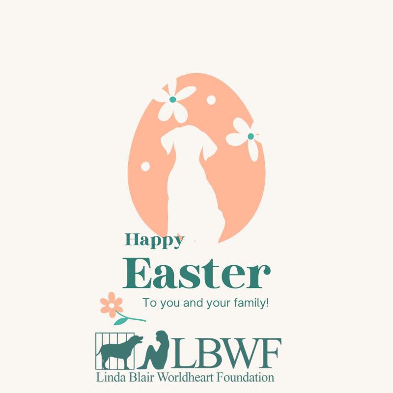 Happy Easter to you all! Have a beautiful day! ❤️