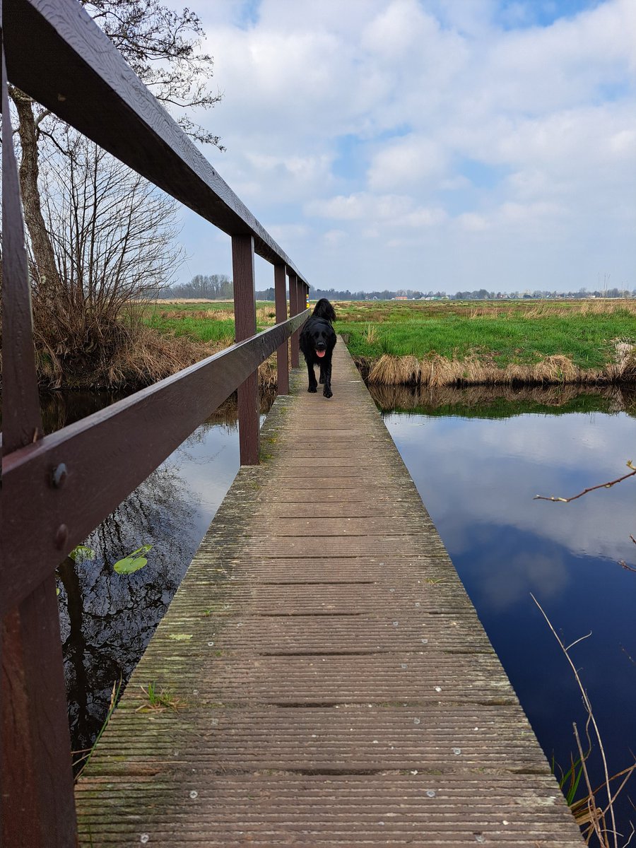 Cees Beukema tweet media