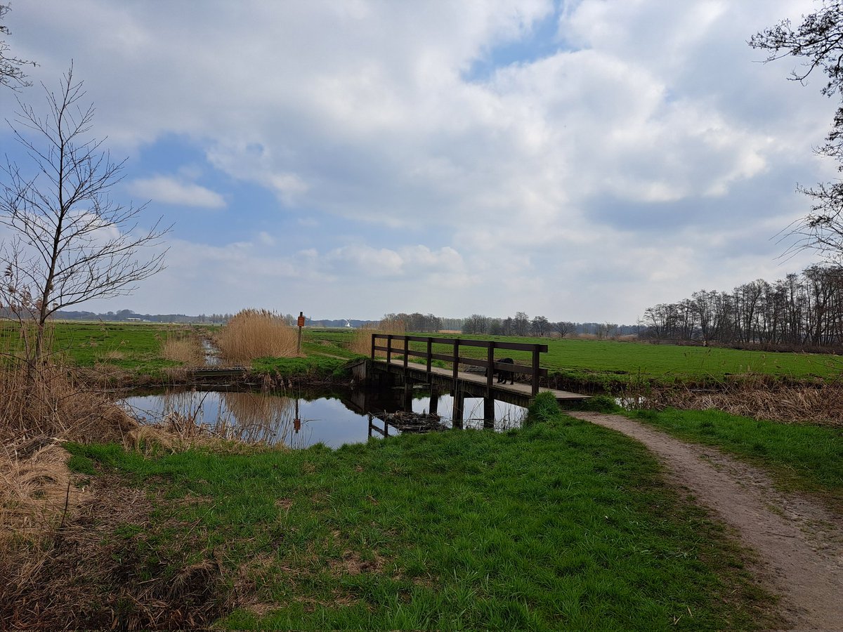 Cees Beukema tweet media