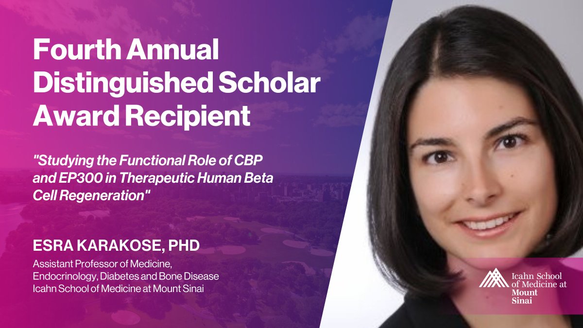 Mount Sinai Health System (@mountsinainyc) on Twitter photo Congratulations to Dr. Esra Karakose on receiving the fourth annual Distinguished Scholar Award from <a href="/IcahnMountSinai/">Icahn School of Medicine at Mount Sinai</a> to support her research: "Studying the Functional Role of CBP and EP300 in Therapeutic Human Beta Cell Regeneration."
<a href="/ISMMSGenderEq/">Office of Gender Equity in Science and Medicine</a> <a href="/MountSinaiEndo/">Mount Sinai Division of Endocrinology</a> Congratulations to Dr. Esra Karakose on receiving the fourth annual Distinguished Scholar Award from <a href="/IcahnMountSinai/">Icahn School of Medicine at Mount Sinai</a> to support her research: "Studying the Functional Role of CBP and EP300 in Therapeutic Human Beta Cell Regeneration."
<a href="/ISMMSGenderEq/">Office of Gender Equity in Science and Medicine</a> <a href="/MountSinaiEndo/">Mount Sinai Division of Endocrinology</a>