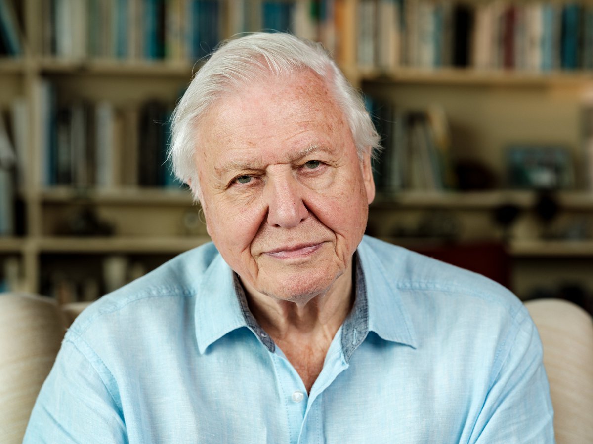 WHAT a series! Our #WildIsles deserve to be preserved and protected.

Hats off to the team 👏 And, of course, the incomparable Sir David Attenborough.