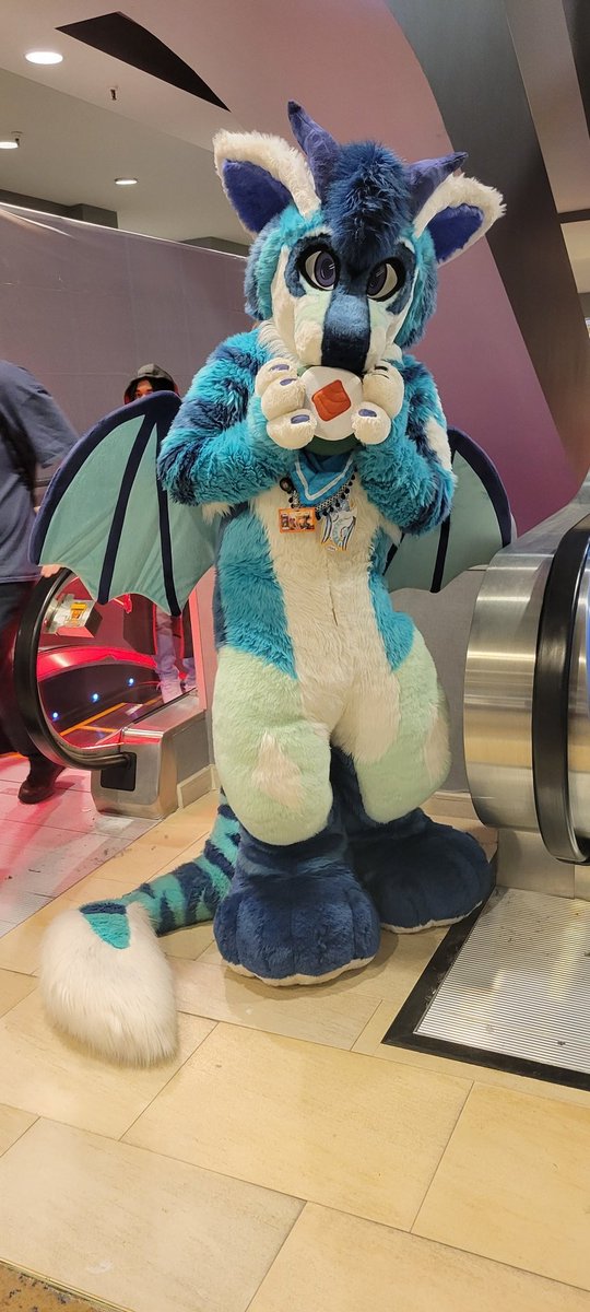 RaeRatts's tweet photo. Ran into this adorable floofer on the last day of con. Such an adorable suit!
#AnimeDetour2023 #animecon #furry #fursuiter #FursuitEveryday #mnfur https://t.co/7R5zIgQK7J
