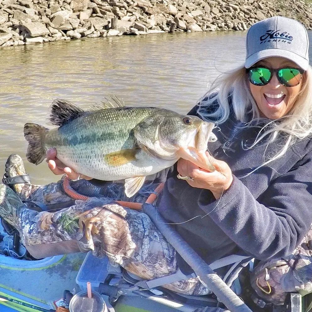 Emily J. Caroline 🇺🇸 on Twitter "The difference between ordinary and