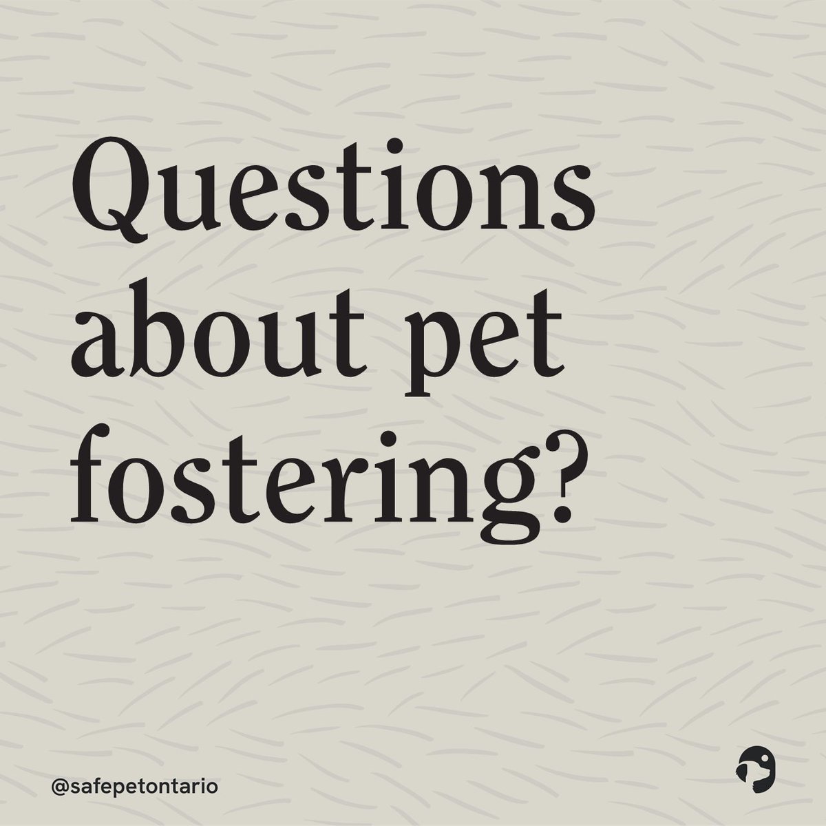 SafePetOntario's tweet photo. We have FIFTEEN dogs, THREE tiny puppies, and THREE cats on our wait list right now. We need your help! Please consider signing up to become a SafePet foster today. If you love dogs (who doesn't???), then WE love YOU!!!! #giveback #fosteringsaveslives https://t.co/VnZSoO7Bw7
