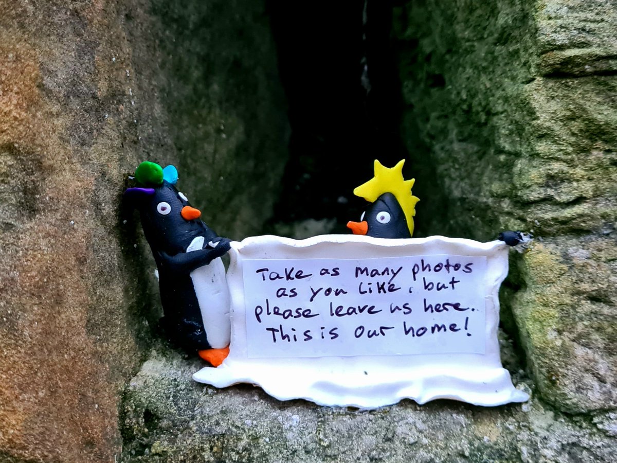 GlasgowPenguins's tweet photo. The punk penguins from next door are doing their best to keep us safe and stop anyone else disappearing from our little community here in the wall. We hope it helps! 🐧

#glasgow #glasgowpenguins #thepenguinsinthewall #punkpenguins https://t.co/BqzRrfofsH