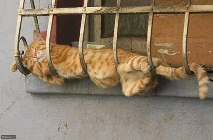 وضعي اول يوم العيد من يكون البيت 
مزدحم 🤓