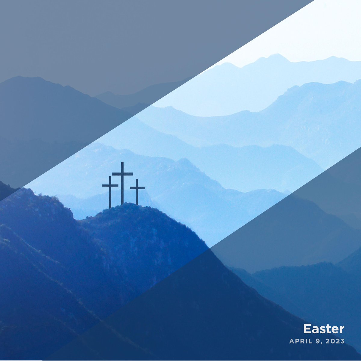 SCA__Health's tweet image. Happy Easter from SCA Health🐰