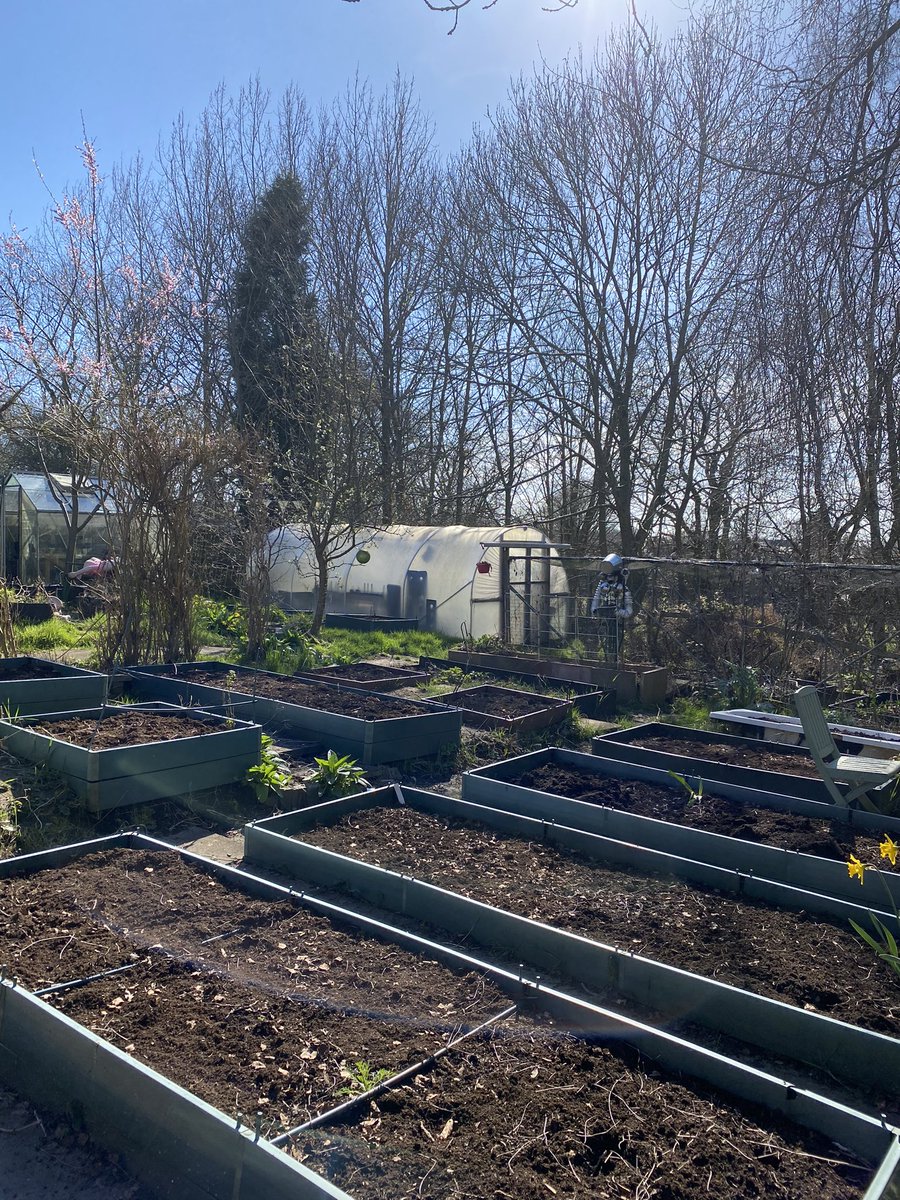 KayFKeane's tweet image. 49 miles for me this week towards the #nhs1000 miles.  I’ve walked, run and cycled and mixed in some gardening at my allotment.  The first shoots are popping through and there are tadpoles in the pond.  It will soon be a salad day #movemore #thatcounts