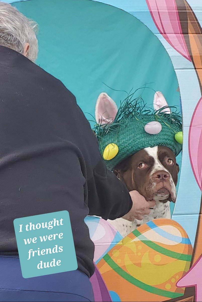 therealval2020's tweet photo. #HappyEaster https://t.co/euHOPB42Rt