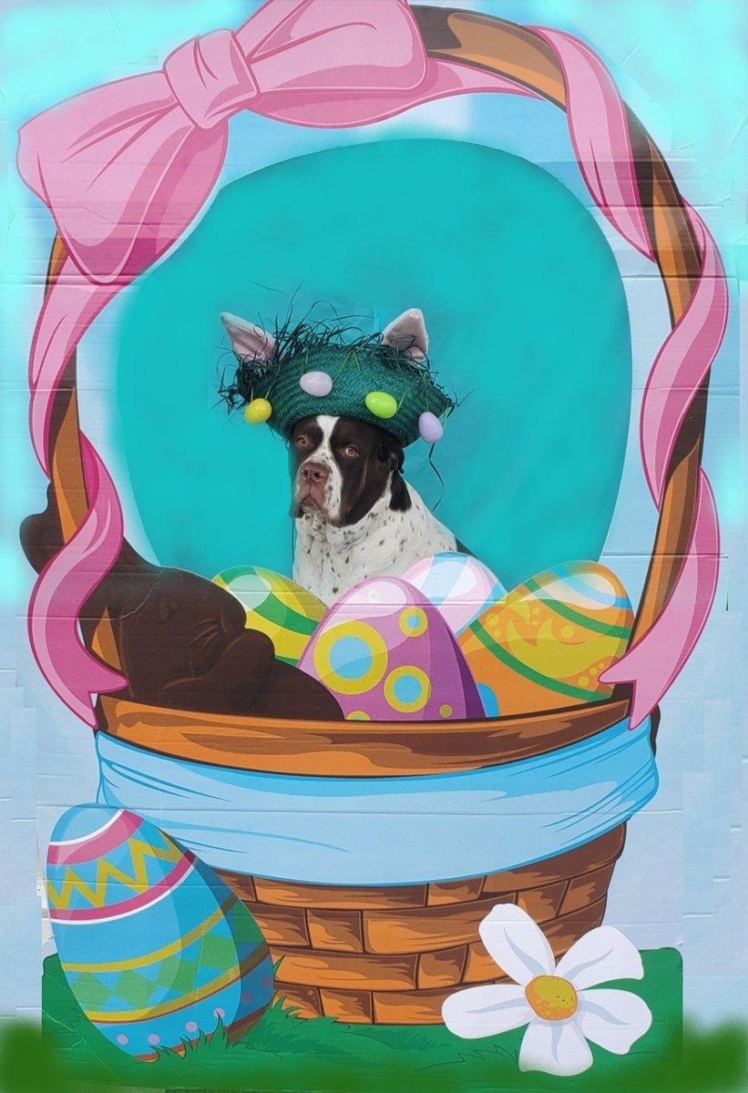 therealval2020's tweet photo. #HappyEaster https://t.co/euHOPB42Rt