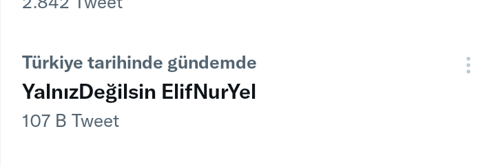 dört kelimelik destek tweeti sekiz

YalnızDeğilsin ElifNurYel