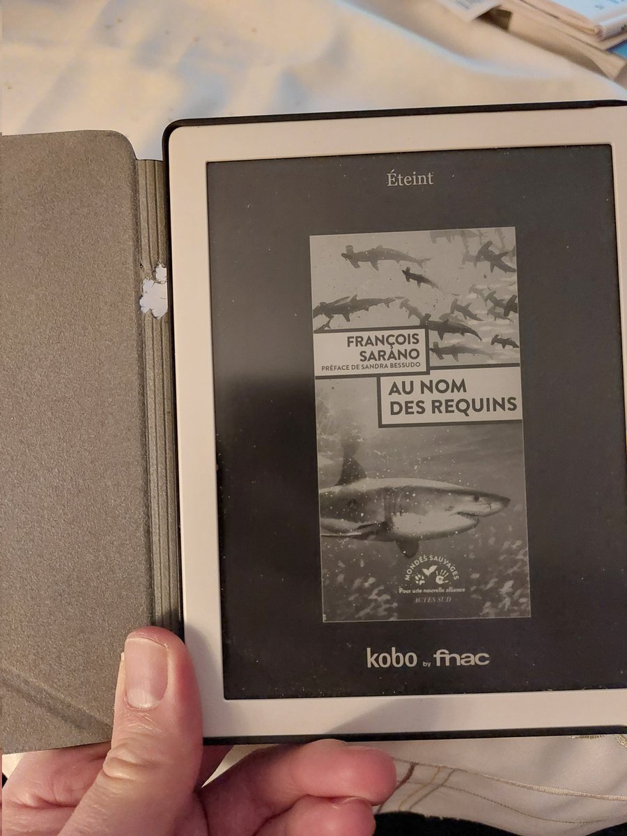 Captaindjidji's tweet image. J'ai recueilli il y a bientôt deux ans ce lapin abandonné...
Il m'a déjà bouffé des livres, des magazines...
Je pensais être tranquille avec ma liseuse...
Il a choisi le jour de Pâques pour s'y consacrer...
Atome, je t'aime mais tu me GAAAAVES!!!!