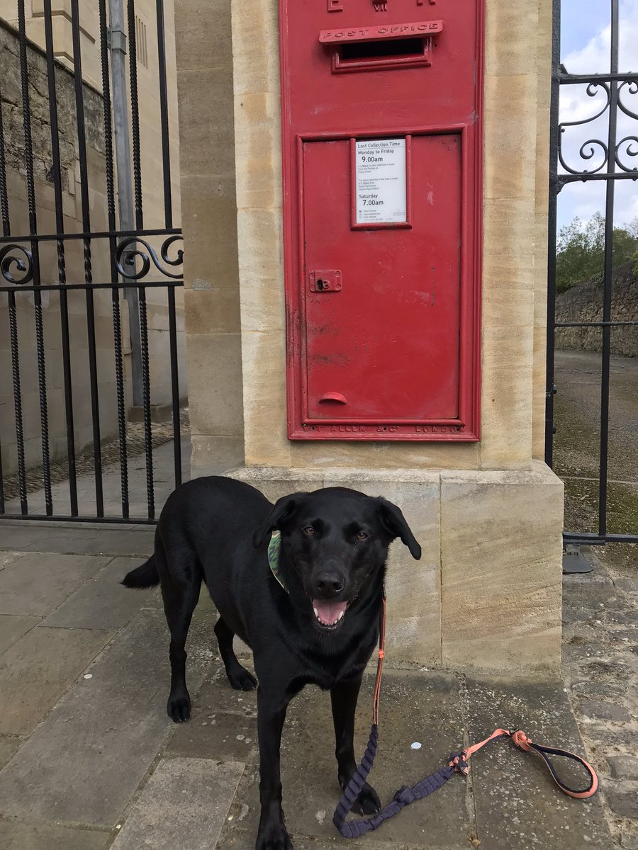 JYparadoxchild's tweet photo. #oxford #oxfordcity #oxfordcitydog #phonebox #postbox #redphonebox #redpostbox #blacklab #blacklabrador https://t.co/zb7dPpwmxQ