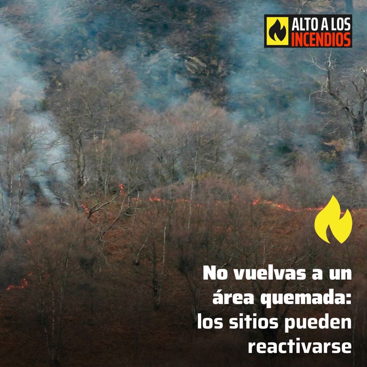 ¿Qué hacer si me encuentro en una zona con incendios forestales?

Sigue nuestros consejos y recuerda: el 99% de los incencios son provocados por personas.

❗️JUNTOS CONTRA EL FUEGO❗️

#precaución #nomásfuego #altoincendios