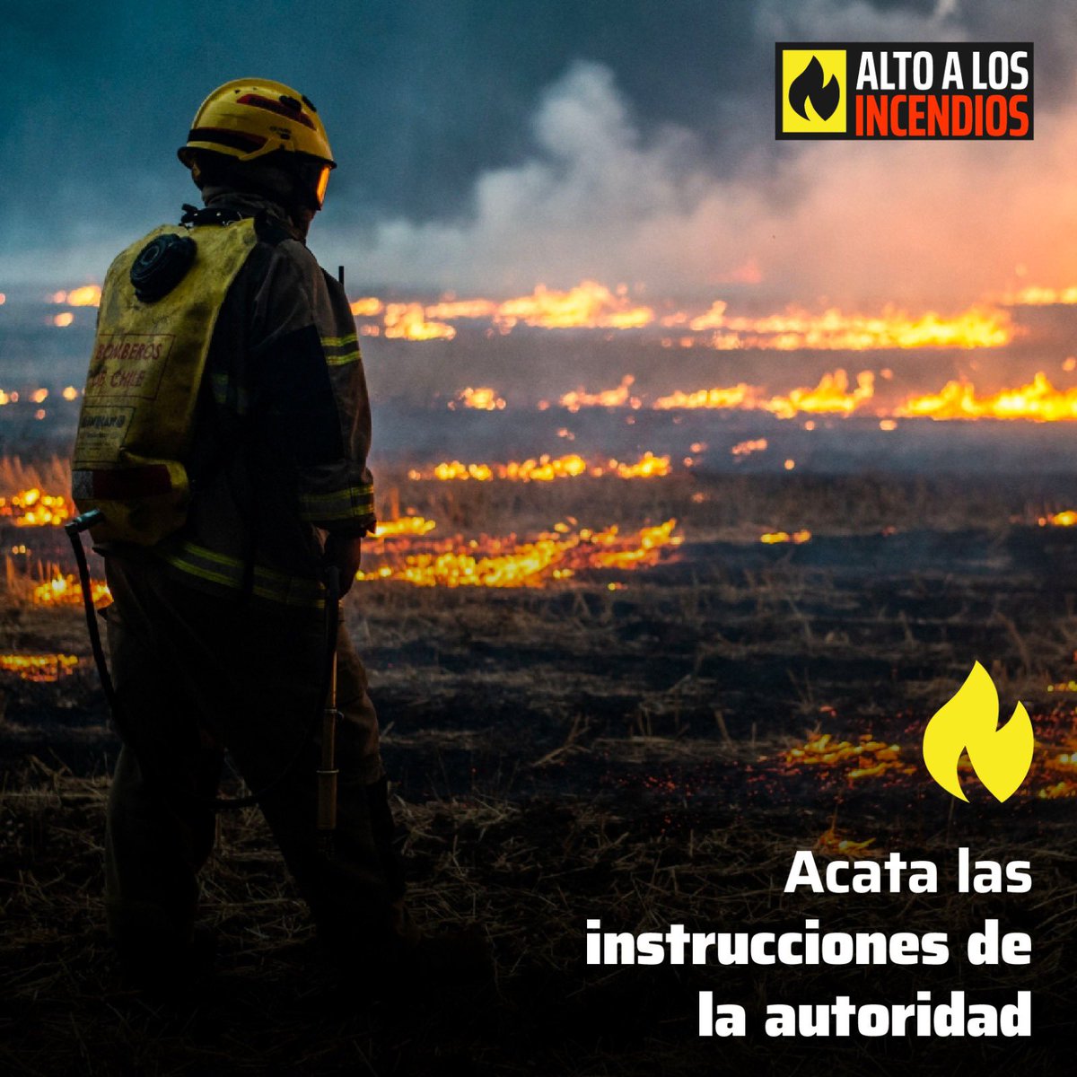 Alto Incendios tweet media