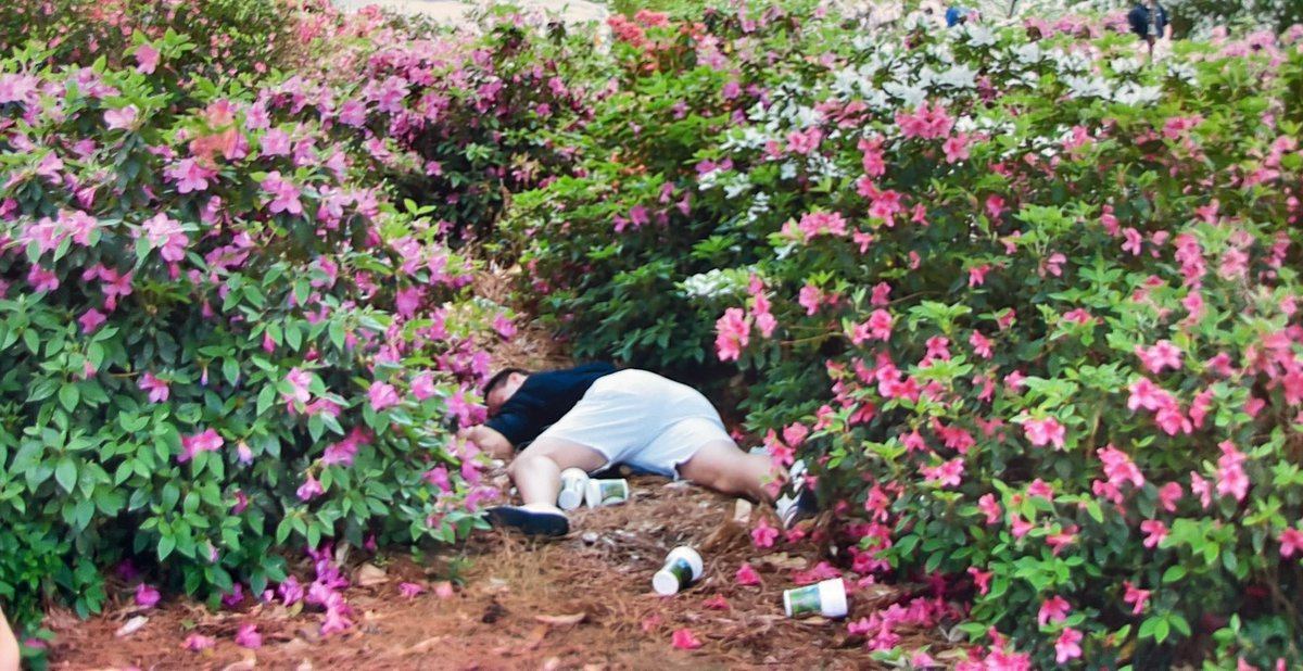 Throwback to my time at the Masters!   The azaleas 🌺 were beautiful (and smelled good)
#Masters2023 #AugustaNational