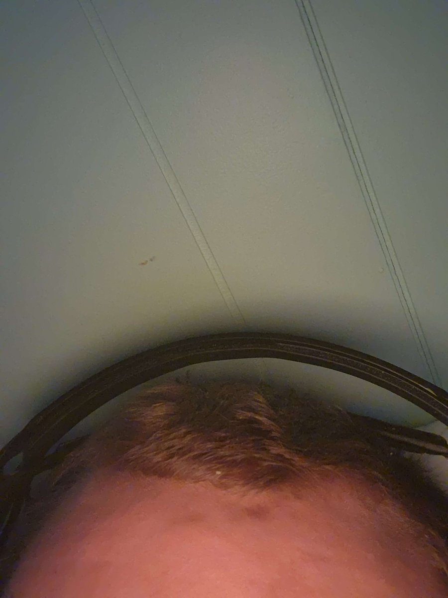 X5VAC tweet media