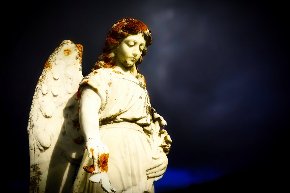 Scottish_Photos's tweet photo. One of my fav regions of Scotland is the far north coast of Sutherland. It's so remote & peaceful. This is a beautiful, serene angel in one of the remote churchyards. #sutherland #skerray #scottishhighlands #beautifulangels #scottishtours #tourscotland https://t.co/0zJrgwAN7m