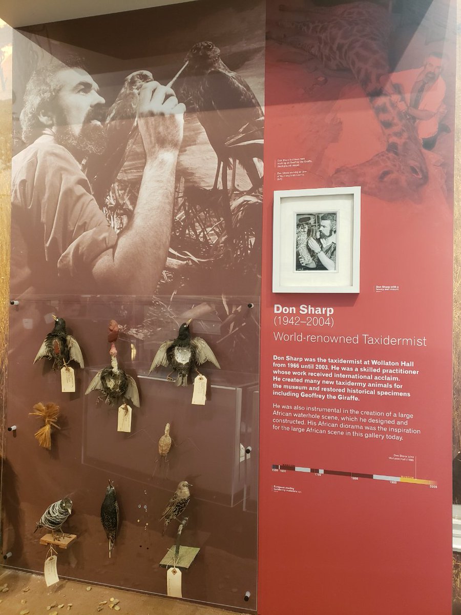 DrAFlint's tweet photo. Hats off to @WollatonHall the new galleries are brilliant. A focus on wonder (with the inspiring @willardwiganMBE exhibition) & great to see the artistry of taxidermists Len Wilde, Don Sharp & Chris Orgill celebrated within the story of the #notnh collections 👏 https://t.co/yTCd4FdCWi