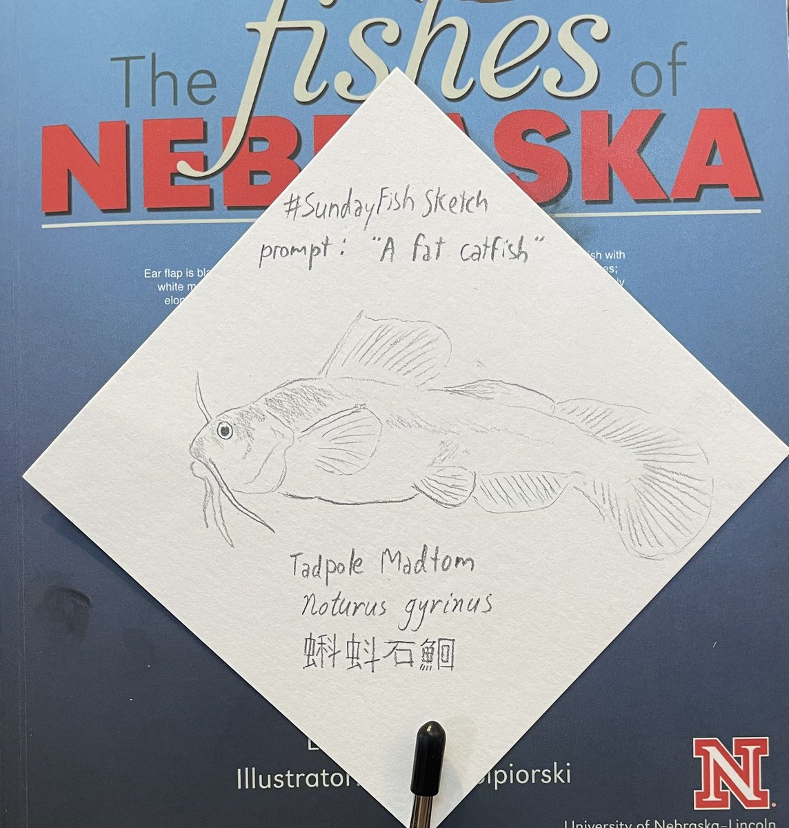 Dr. Heather Hallen-Adams tweet media