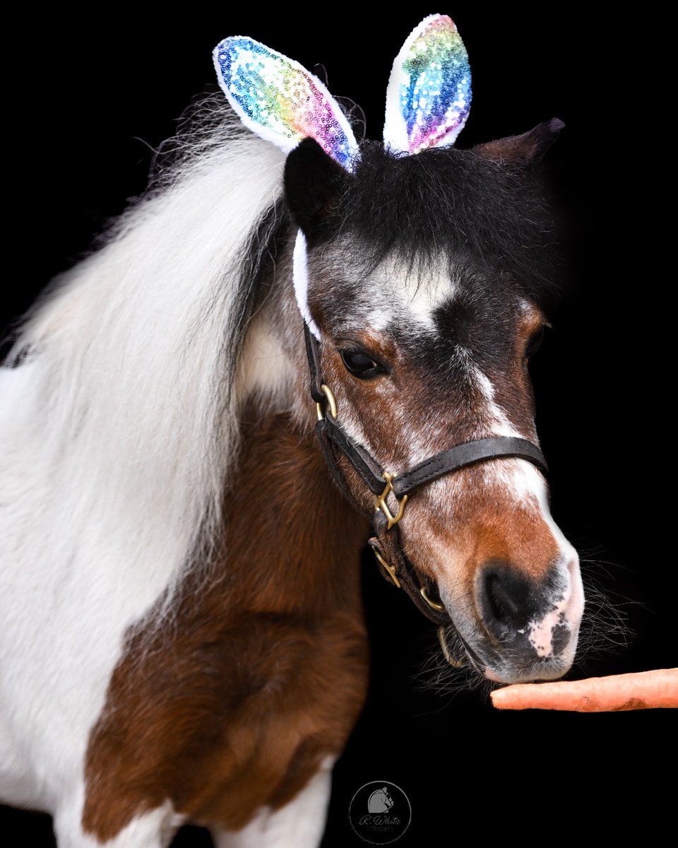 GSS, The Marketing Agency tweet media