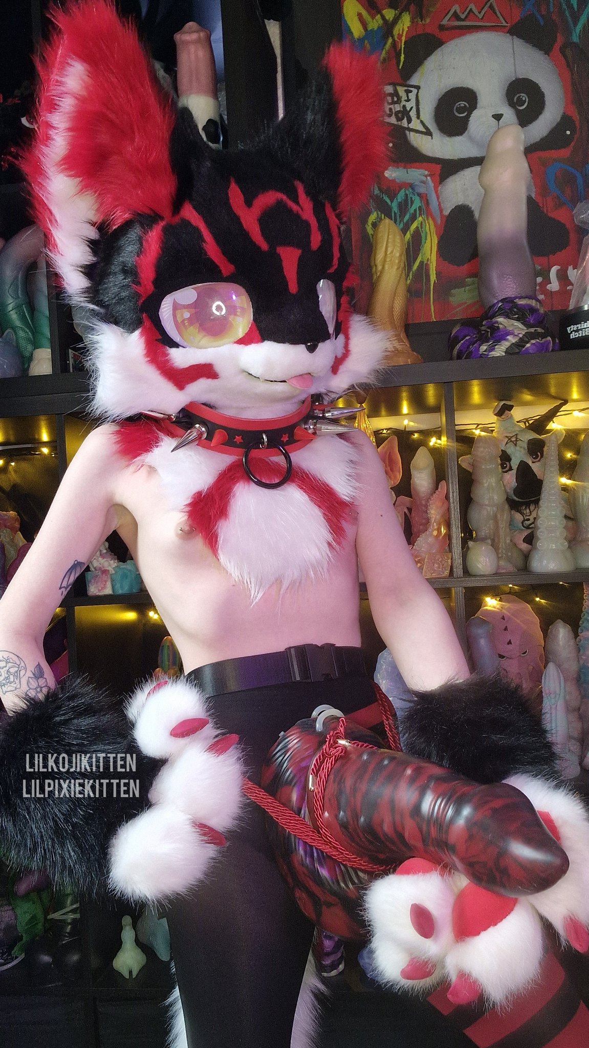 Koji on X: Suck my dick. t.cotdLdbyNZgk  X