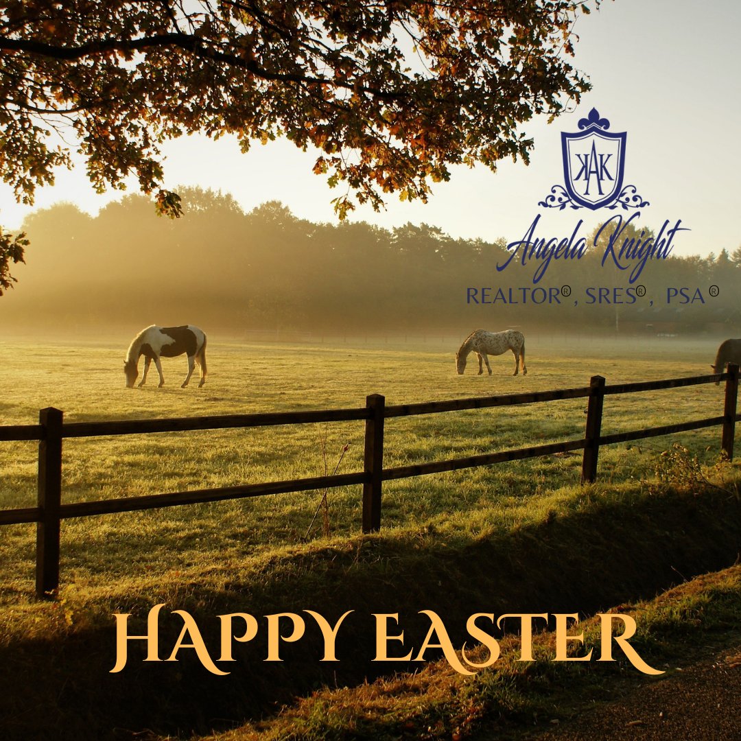 Happy Easter from our family to yours.

#angelaknightrealtor #screaltor #lovewhatido #realestate #homeownership #realestategoals #realestatetips #realestatemarket #realestatelife #kershawcountyrealtor #trustedreatlor #ihaveyourback