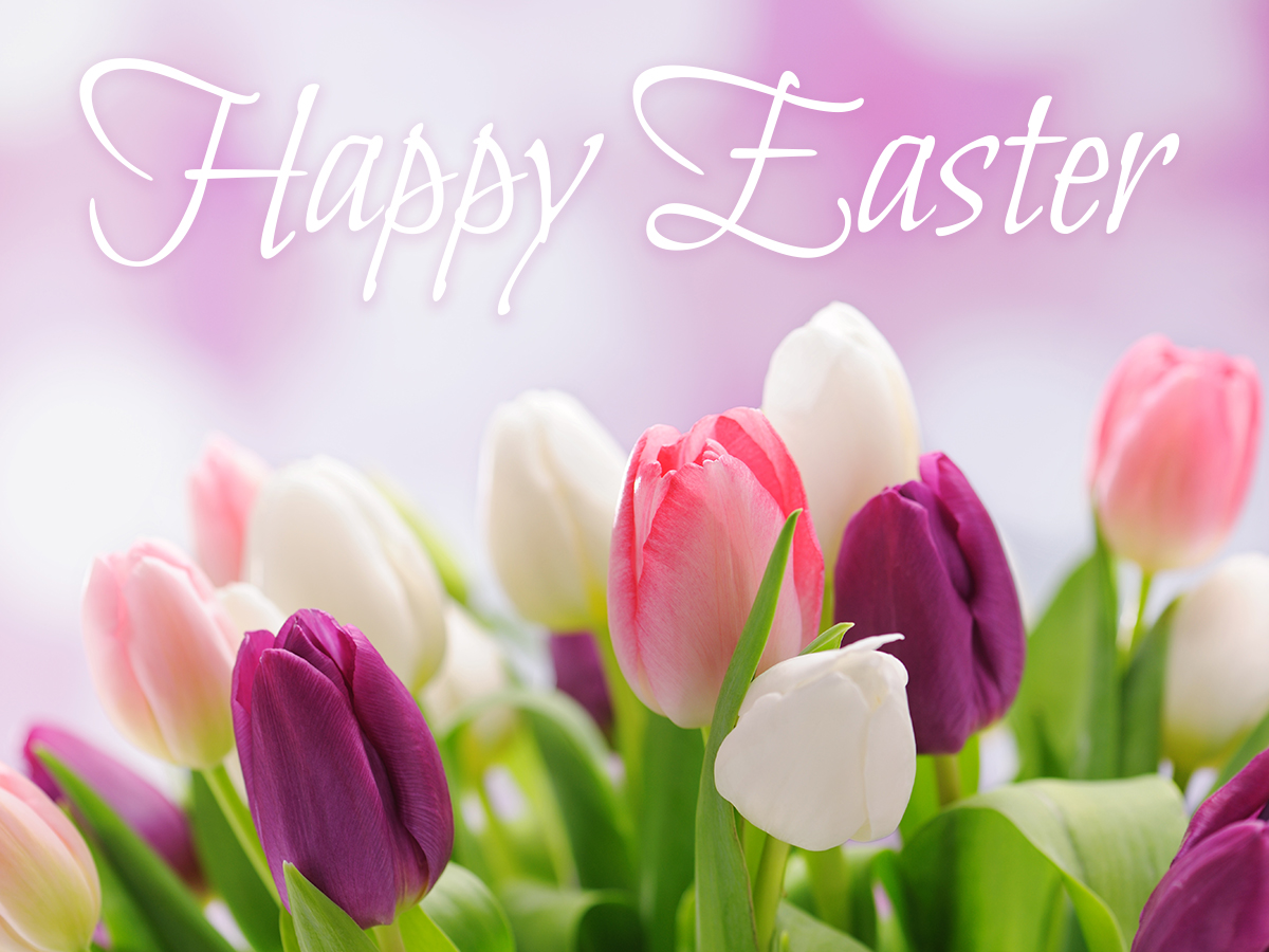JCooopp's tweet photo. Wishing everyone a marvelous spring and an Easter to remember. #HappyEaster #celebrate https://t.co/v7S7B9L7BV