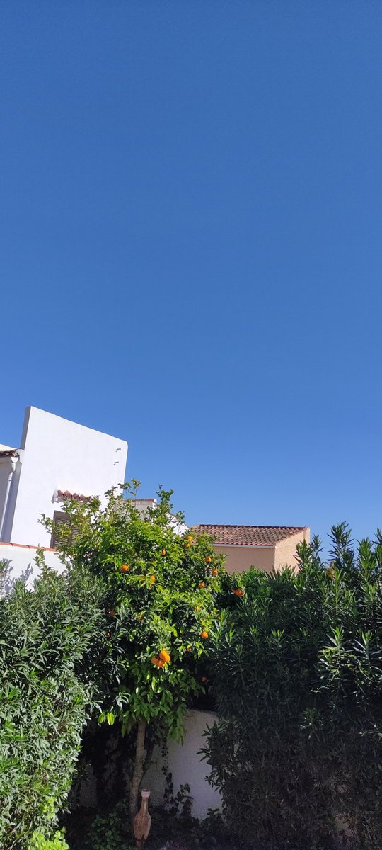 raffhenri's tweet photo. @joanybaby77 Fuck all on the costa blanca https://t.co/7O63TNxxJR