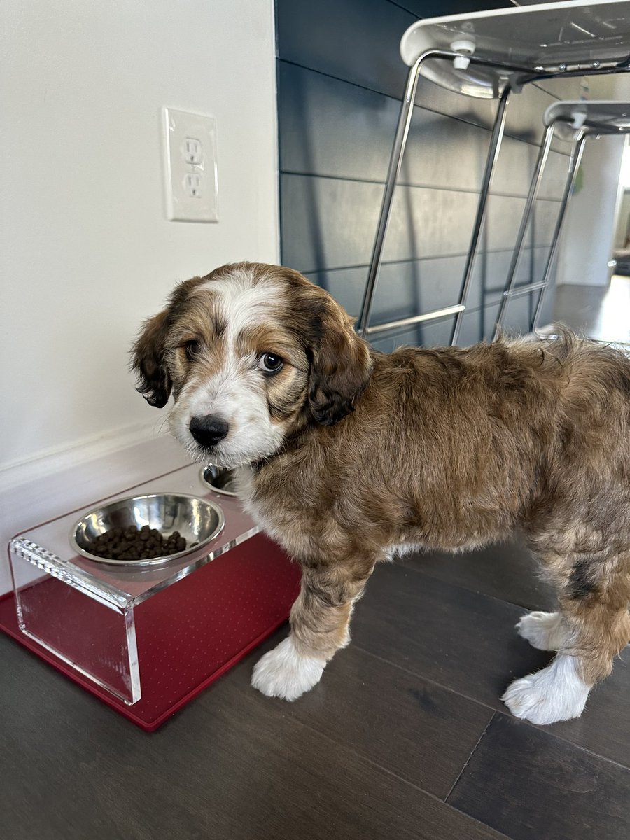 Welcome home Izzy Mae ❤️
Happy Easter….please pray for me 😜