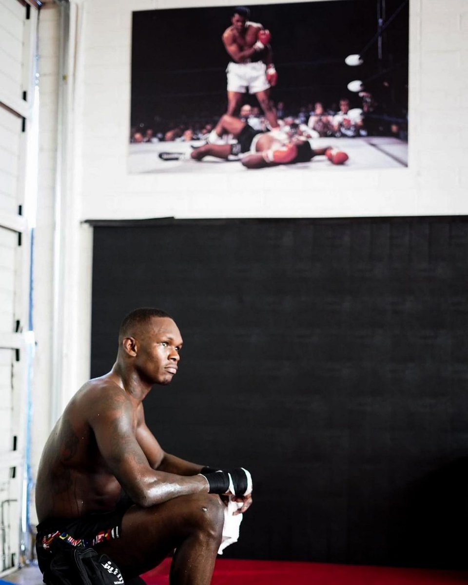 three30_3's tweet image. “He who is not courageous enough to take risks will accomplish nothing in life.” 

Chapter closed 📚

🐐 @stylebender /// @MuhammadAli 🐐