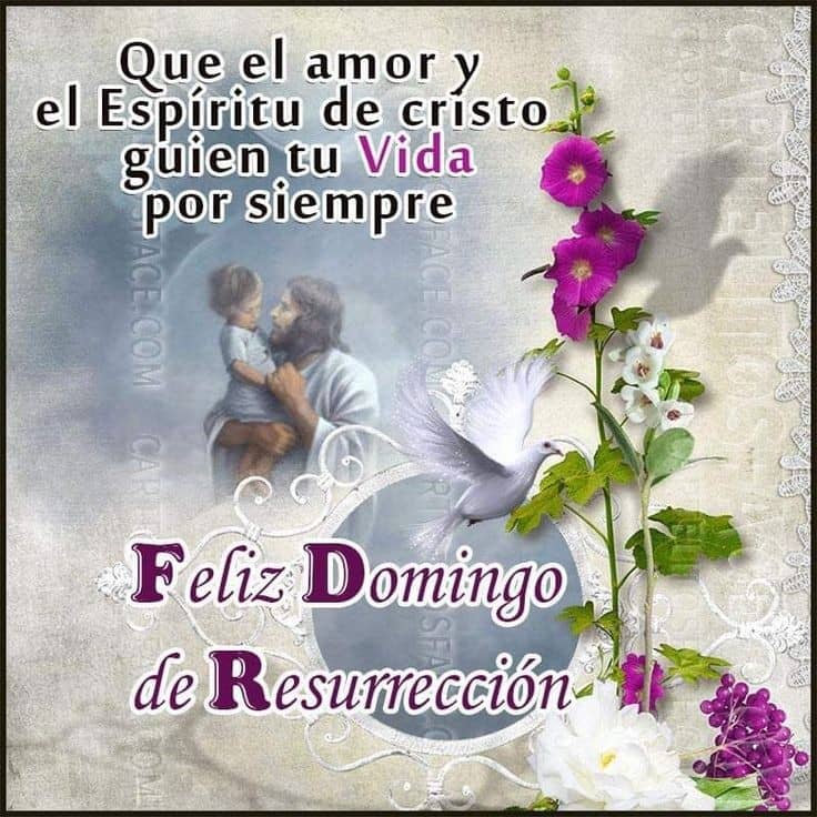 #FelizPascuaDeResurreccion 💖🌷💫🌟🥰🤍