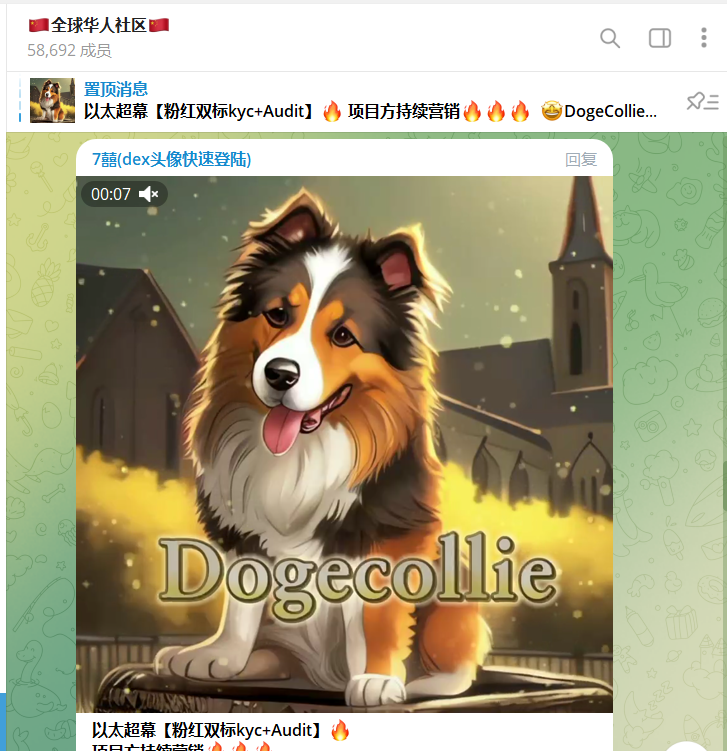 Dogecollie (@Dogecolloe) / Posts / X