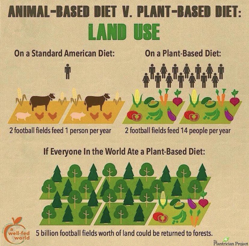 veganguide_'s tweet photo. 🌱🌎 Did you know that adopting a vegan lifestyle can help feed more people? 

By eliminating animal agriculture, we can redirect resources towards producing plant-based foods and feeding more individuals around the world. #VeganismForAll #WorldHunger 🍎🥦🥕🍇 https://t.co/mb7ciGwug7
