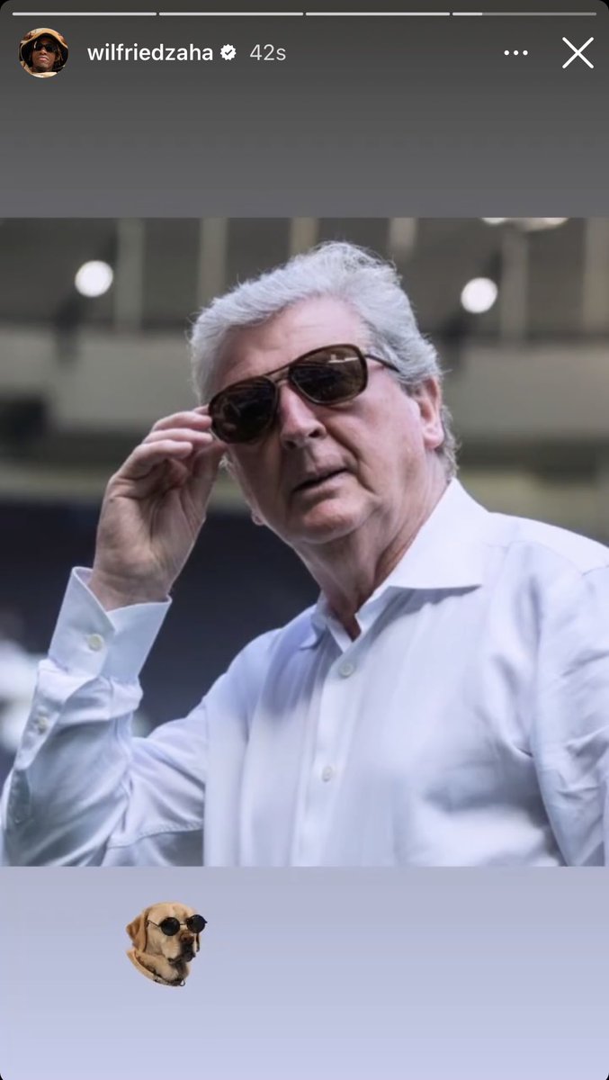 IamJexy's tweet photo. Wilf loving the #Royball #CPFC https://t.co/U7LfdY1rnG