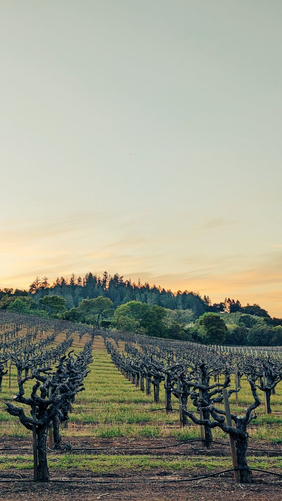 Look forward to a few new wineries today and using the <a href="/Priority_Wine/">Priority Wine Pass</a> #gooddeals #exploringsonoma #California #winetasting 🍷