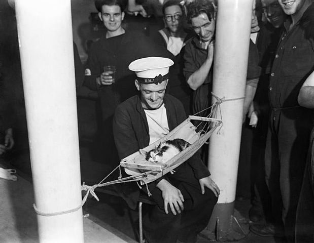 WholesomeMeme's tweet photo. A group of sailors surround the ship’s cat "Convoy" as he sleeps inside a miniature hammock aboard the HMS Hermione, 1941. https://t.co/GpOAtsy49V