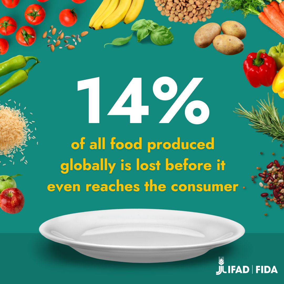 IFAD's tweet photo. Reducing food loss must be a key part of our global strategy for achieving #ZeroHunger. https://t.co/g8eW7dil3s
