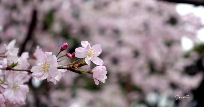 اللهم أصلحني وأرزقني الخير والجنة والبركة فيما أملك ، وأحسن خاتمتي .