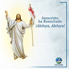 bedturb's tweet photo. Felices Pascuas! https://t.co/IFa3aam2gE