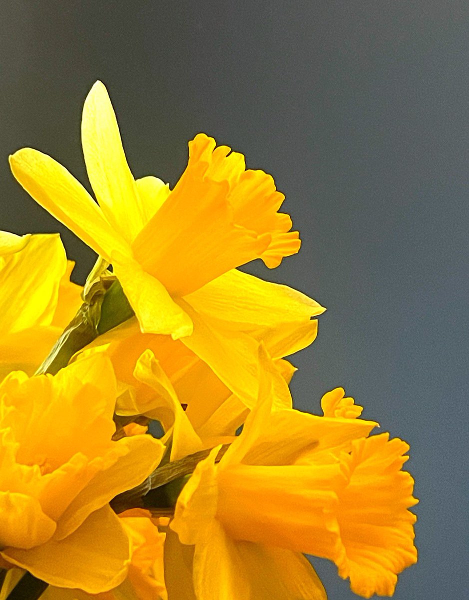 Manlet's tweet image. Happy Easter to all our followers, Landlords and tenants! We hope everyone has a restful weekend full of happiness 🐣😊