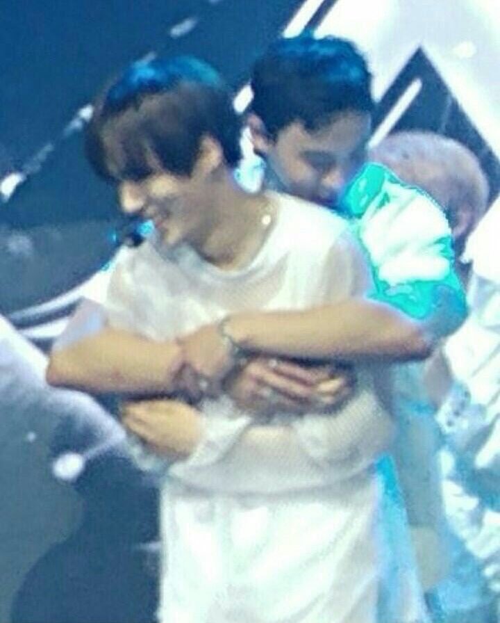 션뭉 이건 대체 뭐지