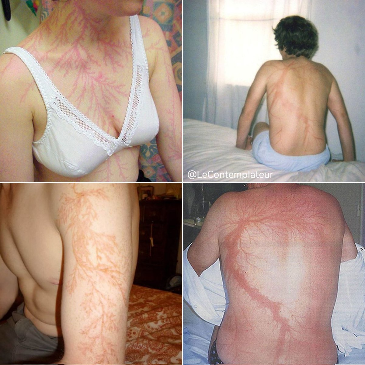 Le Contemplateur tweet media