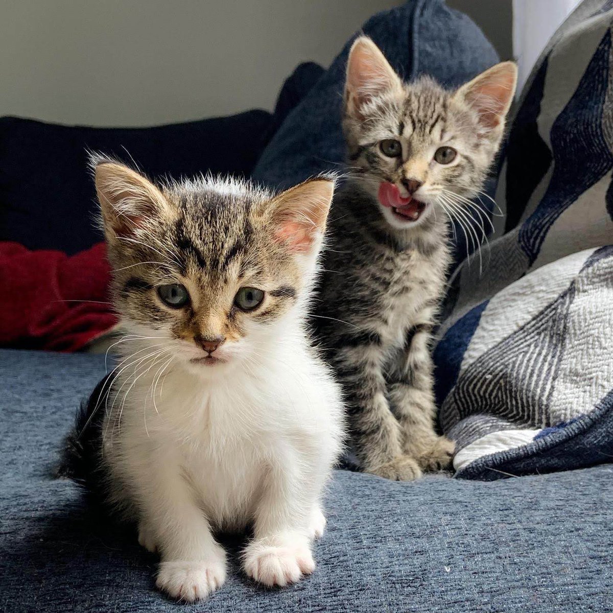 do you love us ??