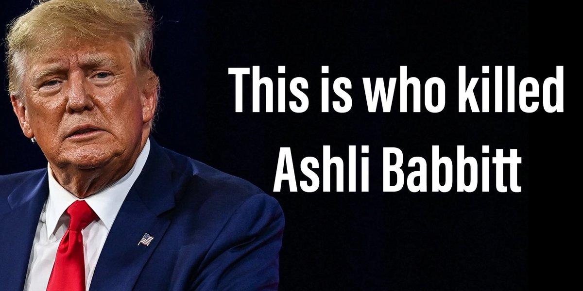TalithaDrgnfly's tweet photo. Ashli Babbitt was just another brainwashed traitorous #MAGACult member committing treason against our country.  She shouldn’t have fucked around if she didn’t want to find out exactly what should happen to domestic terrorists.  

#sundayvibes #MAGAts #MAGA #FuckAroundFindOut https://t.co/2lMormhV3D