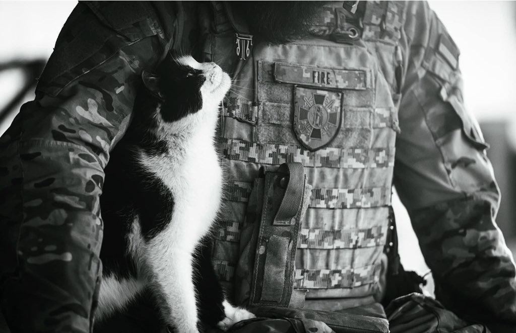 UAarmy_animals's tweet photo. 🥹

#Ukraine #UkraineRussiaWar #UkraineWar #Leopard #CatsOfTwitter #CatsOnTwitter #RussiaisATerroistState #UkraineWarNews #UAarmy #Zelensky #UkraineRussiaWar️ https://t.co/2DA3ZJ7UmV