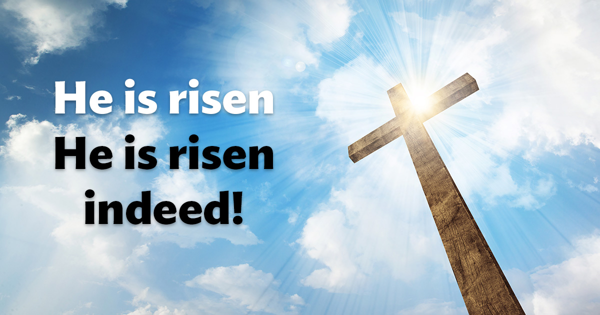 Special Offerings tweet media