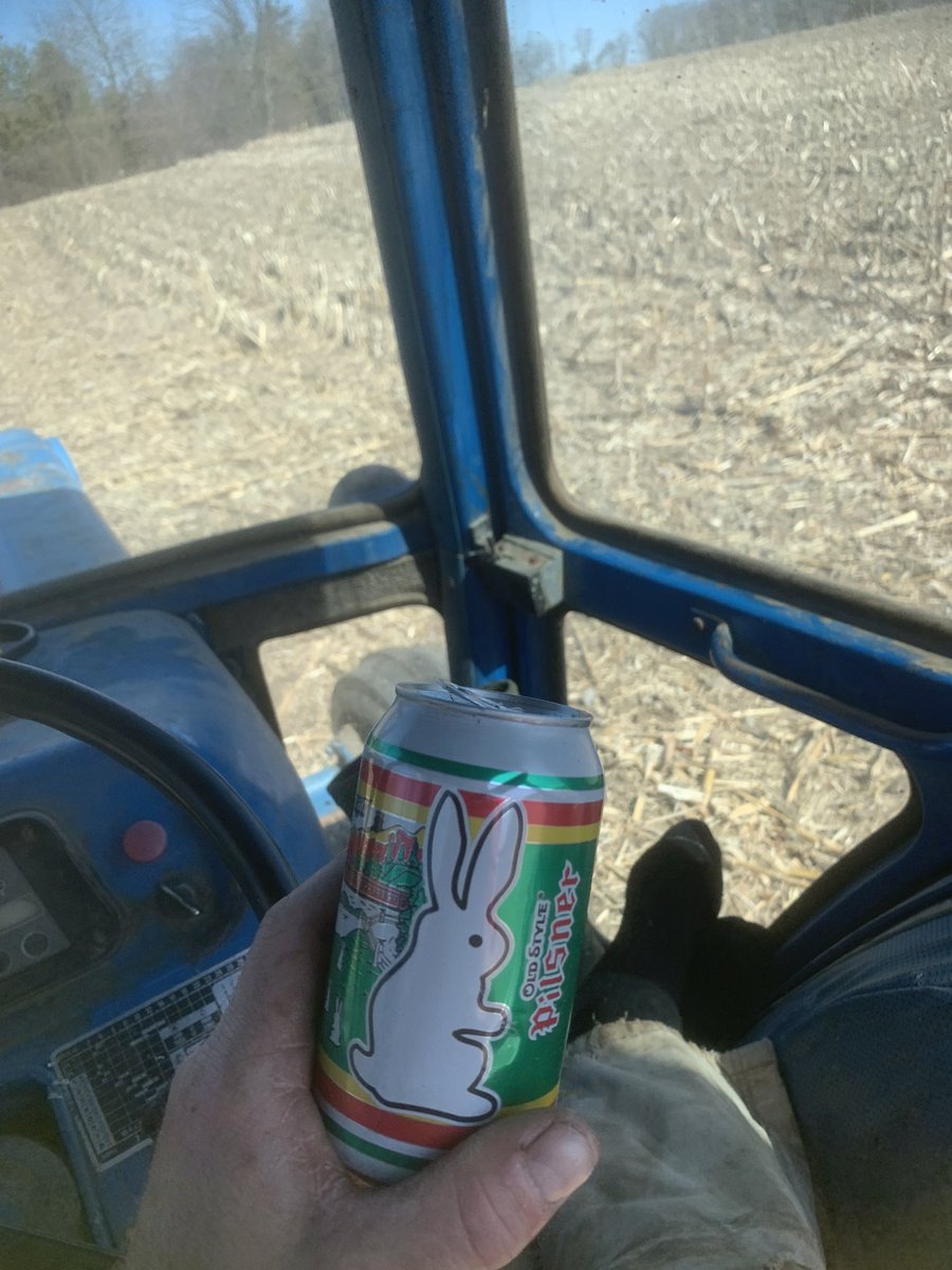 Suns out, kicked off the Dunlops while cutting cornstalks, and by golly the Easter bunny came too.  Happy Easter!